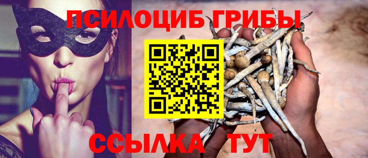 Галлюциногенные грибы Magic Shrooms  Вход с VPN  Светлоград  Псилоцибиновые грибы GOLDEN TEACHER 